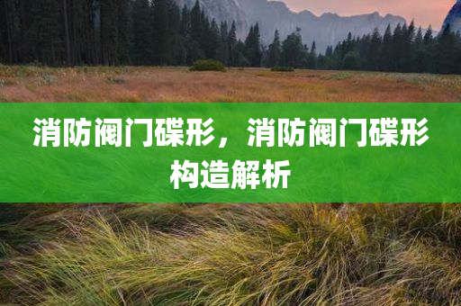消防阀门碟形，消防阀门碟形构造解析
