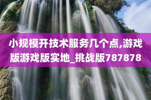 小规模开技术服务几个点,游戏版游戏版实地_挑战版787878