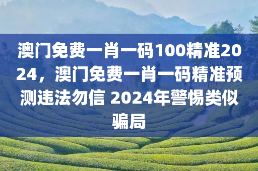 澳门免费一肖一码100精准2024，澳门免费一肖一码精准预测违法勿信 2024年警惕类似骗局