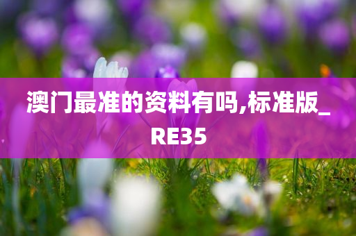 澳门最准的资料有吗,标准版_RE35