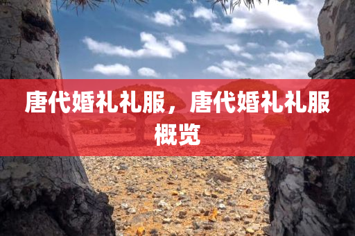 唐代婚礼礼服，唐代婚礼礼服概览