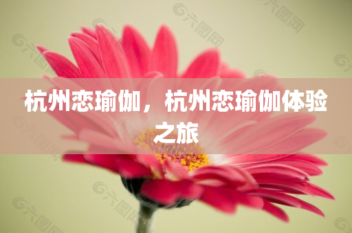 杭州恋瑜伽，杭州恋瑜伽体验之旅