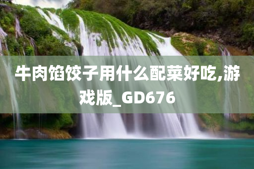 牛肉馅饺子用什么配菜好吃,游戏版_GD676