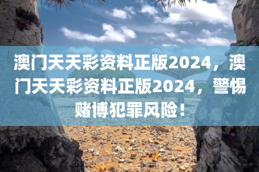 澳门天天彩资料正版2024，澳门天天彩资料正版2024，警惕赌博犯罪风险！