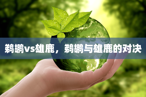 鹈鹕vs雄鹿，鹈鹕与雄鹿的对决