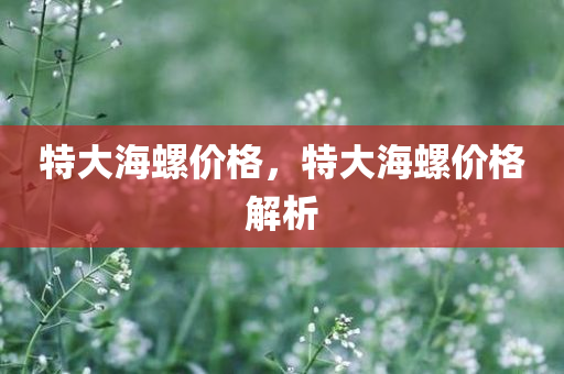 特大海螺价格，特大海螺价格解析