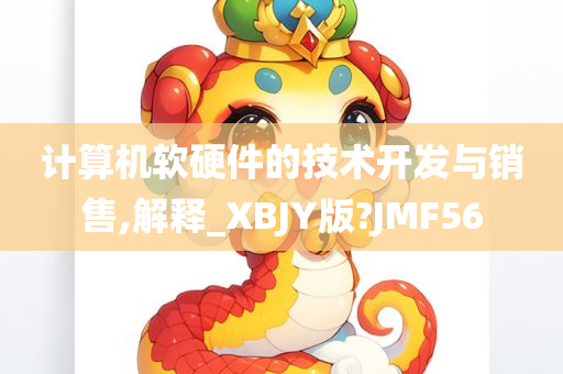 计算机软硬件的技术开发与销售,解释_XBJY版?JMF56