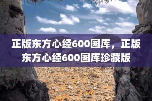 正版东方心经600图库，正版东方心经600图库珍藏版