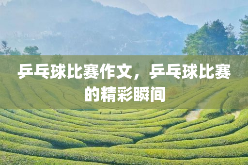 乒乓球比赛作文，乒乓球比赛的精彩瞬间