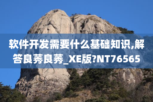 软件开发 第85页