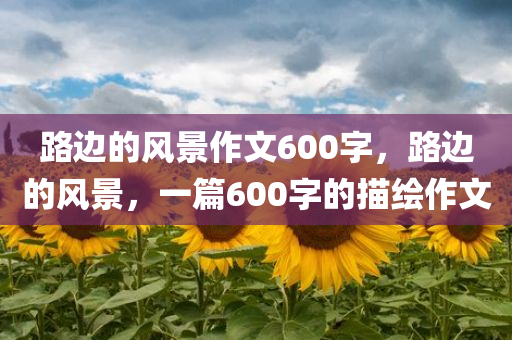 路边的风景作文600字