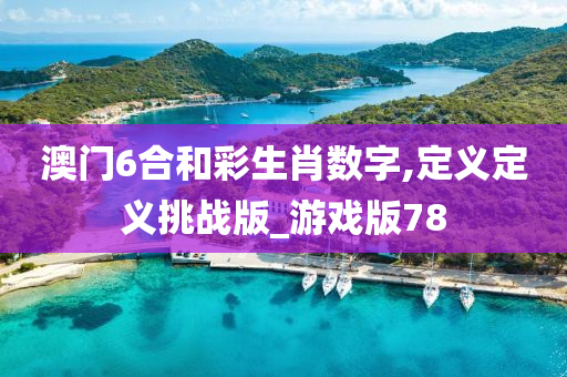 澳门6合和彩生肖数字,定义定义挑战版_游戏版78