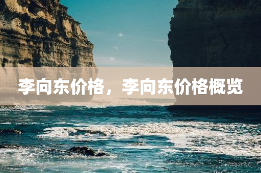 李向东价格