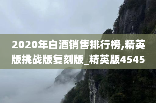精英版 第24页