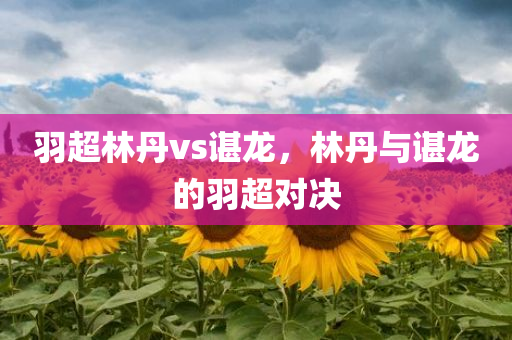羽超林丹vs谌龙，林丹与谌龙的羽超对决