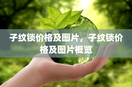 子纹锁价格及图片，子纹锁价格及图片概览