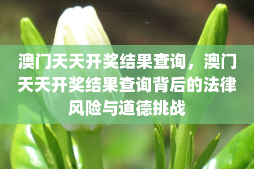 澳门天天开奖结果查询，澳门天天开奖结果查询背后的法律风险与道德挑战