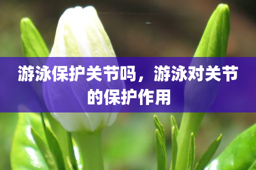 游泳保护关节吗，游泳对关节的保护作用