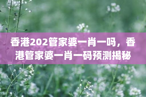 香港202管家婆一肖一吗，香港管家婆一肖一码预测揭秘