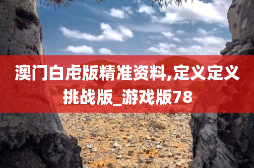 澳门白虍版精准资料,定义定义挑战版_游戏版78