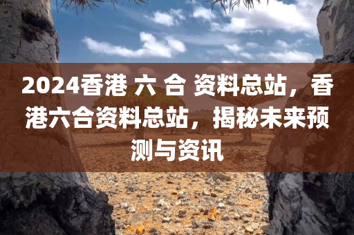 2024香港 六 合 资料总站，香港六合资料总站，揭秘未来预测与资讯