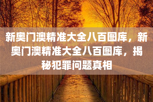 新奥门澳精准大全八百图库，新奥门澳精准大全八百图库，揭秘犯罪问题真相
