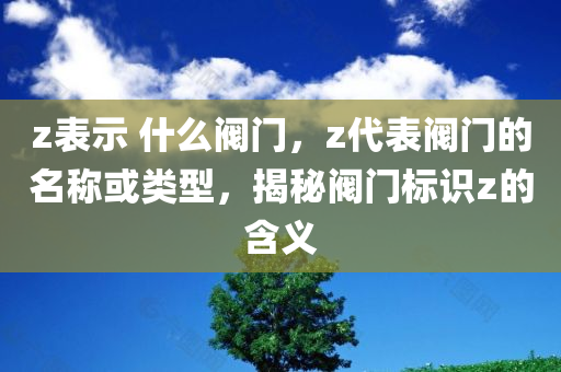 z表示 什么阀门，z代表阀门的名称或类型，揭秘阀门标识z的含义
