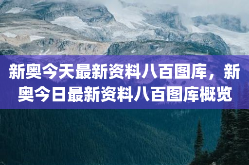 新奥今天最新资料八百图库，新奥今日最新资料八百图库概览