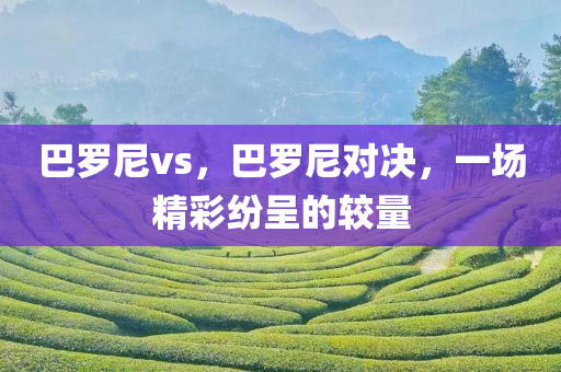 巴罗尼vs，巴罗尼对决，一场精彩纷呈的较量
