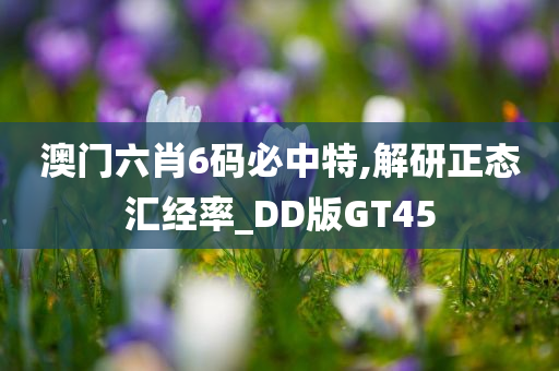 澳门六肖6码必中特,解研正态汇经率_DD版GT45