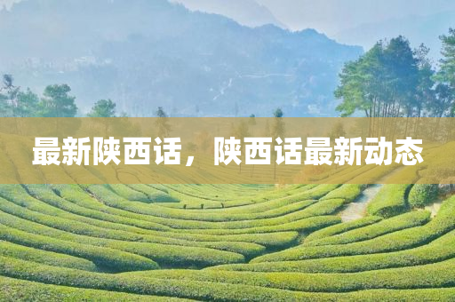 最新陕西话，陕西话最新动态