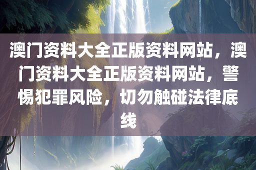 澳门资料大全正版资料网站，澳门资料大全正版资料网站，警惕犯罪风险，切勿触碰法律底线