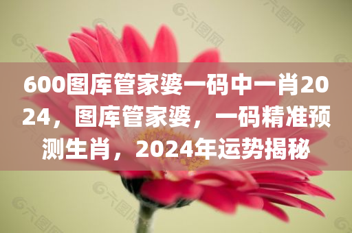 600图库管家婆一码中一肖2024，图库管家婆，一码精准预测生肖，2024年运势揭秘