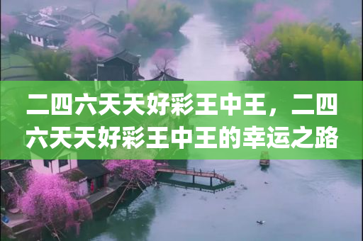 二四六天天好彩王中王，二四六天天好彩王中王的幸运之路