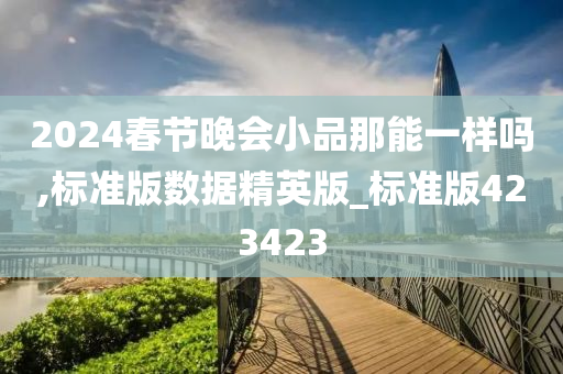 2024春节晚会小品那能一样吗,标准版数据精英版_标准版423423