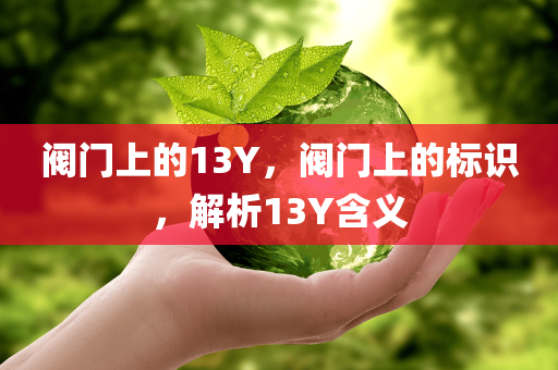 阀门上的13Y，阀门上的标识，解析13Y含义