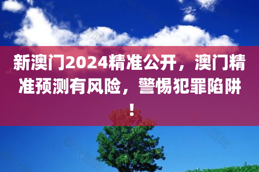 新澳门2024精准公开，澳门精准预测有风险，警惕犯罪陷阱！