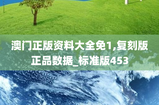 澳门正版资料大全免1,复刻版正品数据_标准版453