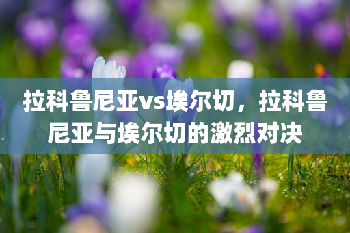 拉科鲁尼亚vs埃尔切，拉科鲁尼亚与埃尔切的激烈对决