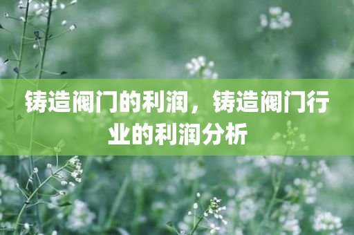 铸造阀门的利润，铸造阀门行业的利润分析