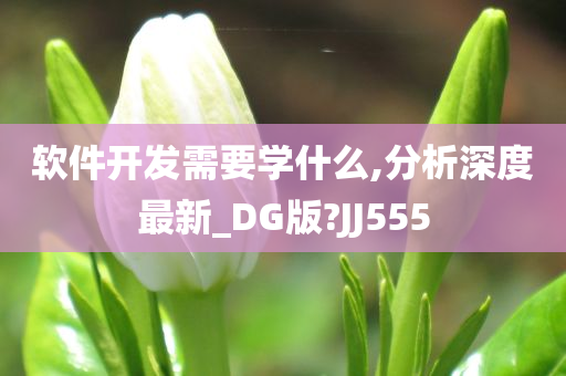 软件开发需要学什么,分析深度最新_DG版?JJ555