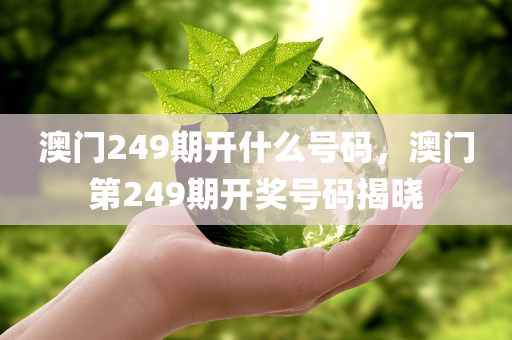 澳门249期开什么号码，澳门第249期开奖号码揭晓