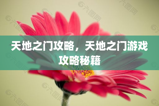 天地之门攻略，天地之门游戏攻略秘籍