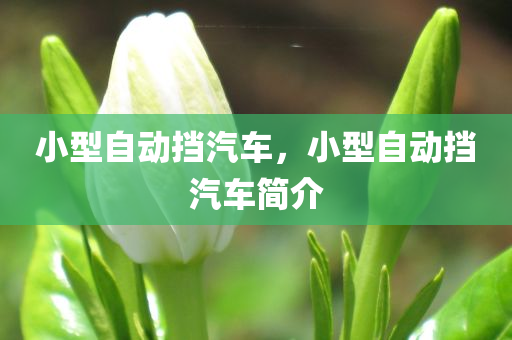小型自动挡汽车，小型自动挡汽车简介