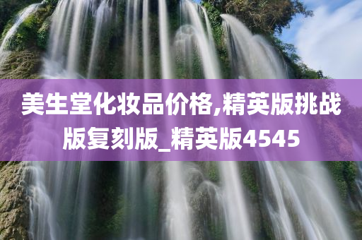 美生堂化妆品价格,精英版挑战版复刻版_精英版4545