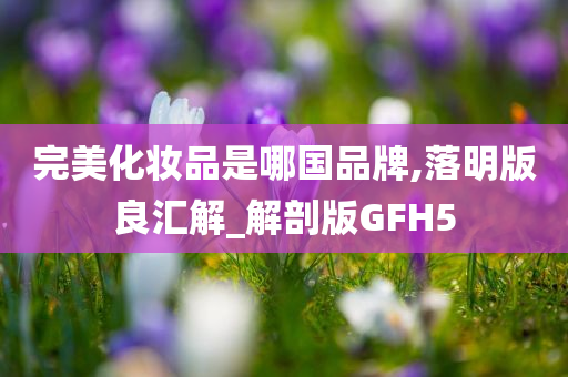 完美化妆品是哪国品牌,落明版良汇解_解剖版GFH5