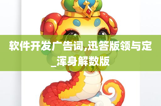 软件开发广告词,迅答版领与定_浑身解数版