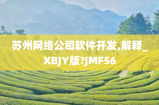 苏州网络公司软件开发,解释_XBJY版?JMF56