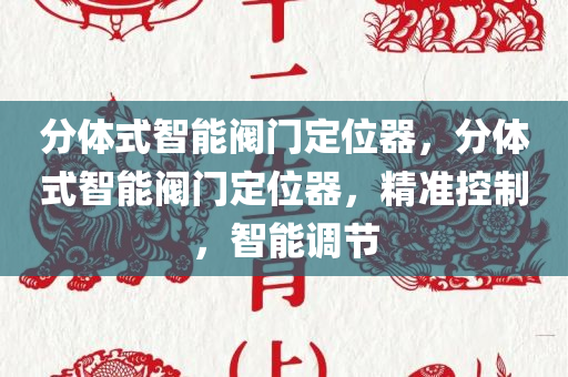 分体式智能阀门定位器，分体式智能阀门定位器，精准控制，智能调节