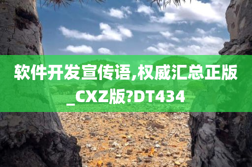 软件开发宣传语,权威汇总正版_CXZ版?DT434